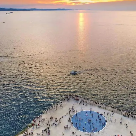 La Paulina's Iii * Zara